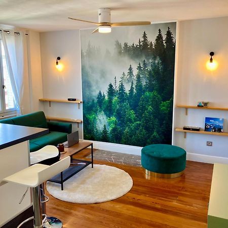 Le Nivolet, Cosy Appartement Chambery Bagian luar foto